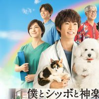 僕とシッポと神楽坂
