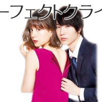 パーフェクトクライム