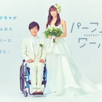 パーフェクトワールド
